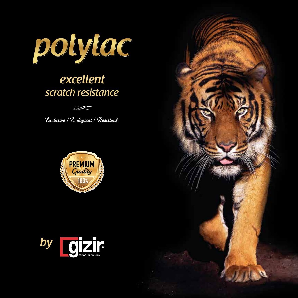 Polylac — Edition II catalog cover
